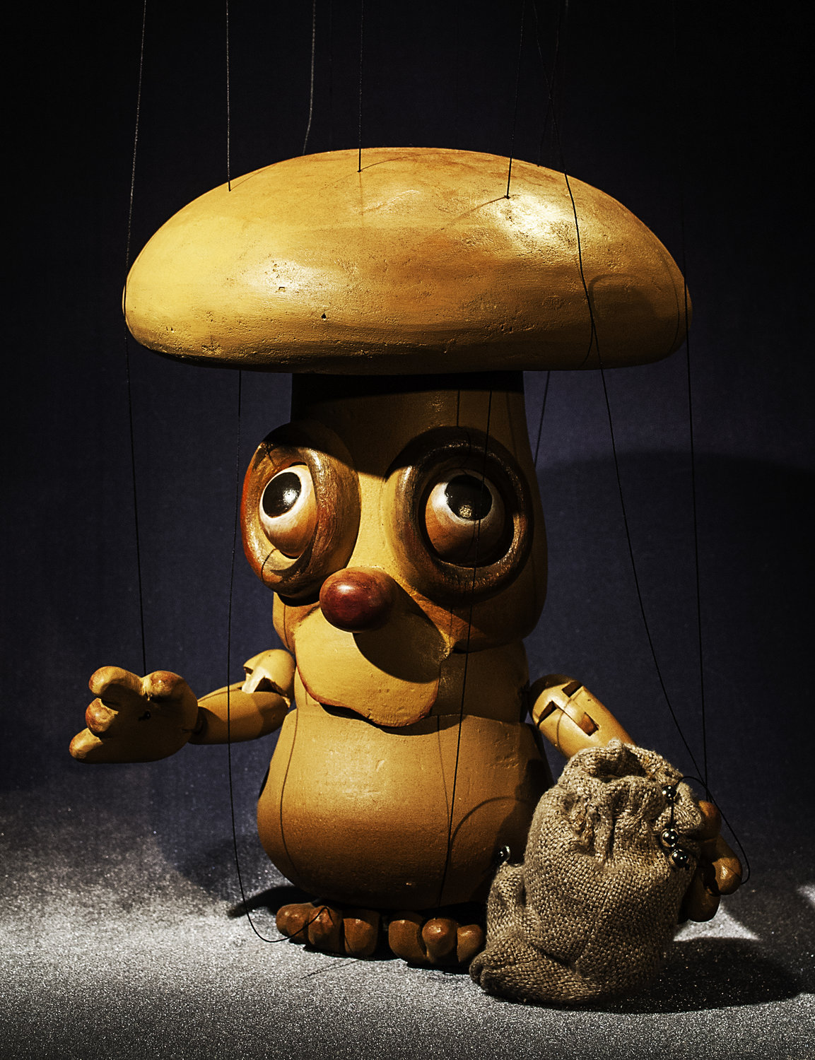 Coad Canada Puppets World Encyclopedia of Puppetry Arts